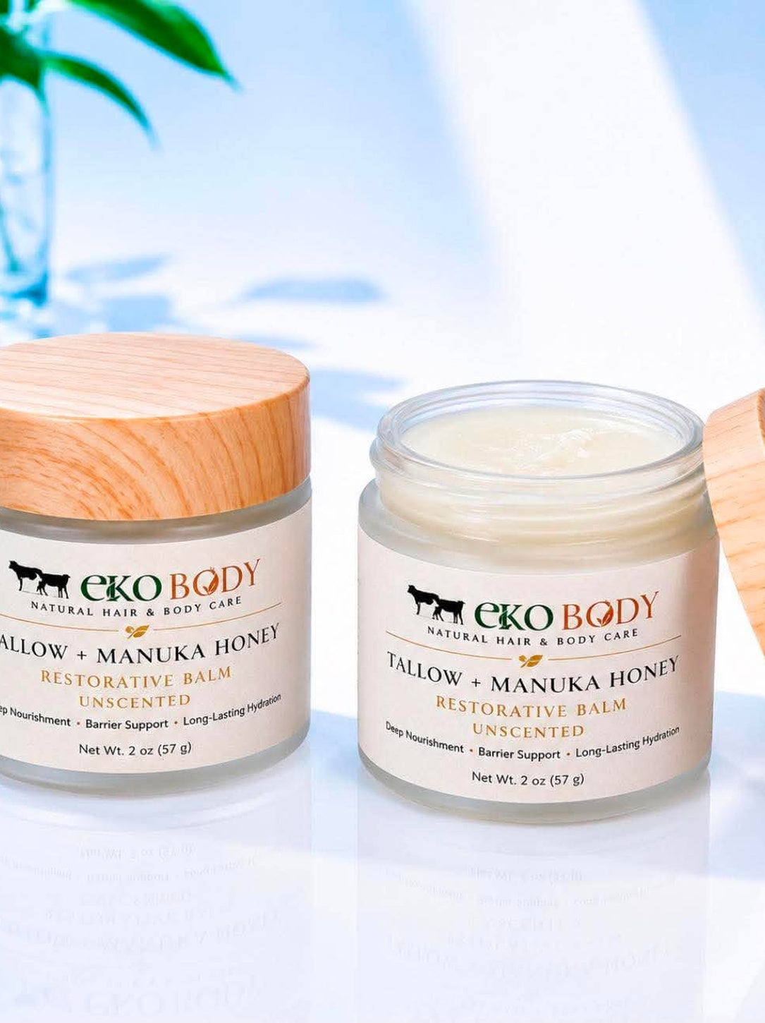 Tallow + Manuka Honey 1000+MGO | Restorative Balm | UNSCENTED